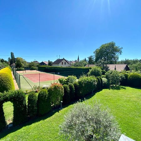 "Ma Vie La" Alsace Bed & Breakfast Kingersheim Eksteriør bilde