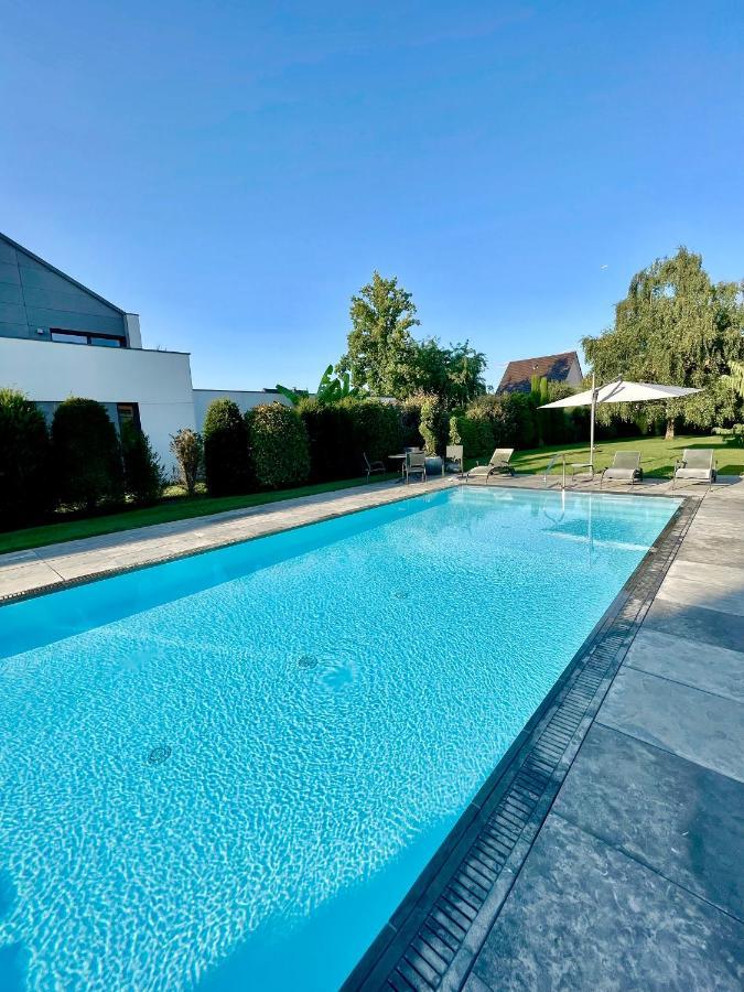 "Ma Vie La" Alsace Bed & Breakfast Kingersheim Eksteriør bilde